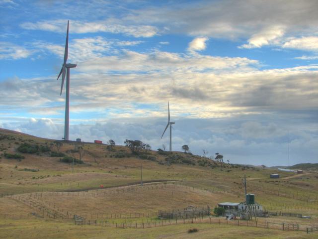 Cape Bridgewater