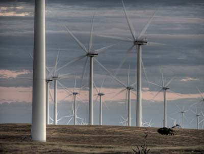 Canunda/Lake Bonney wind turbines