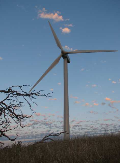 Canunda wind turbine