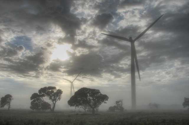Trees and turbines