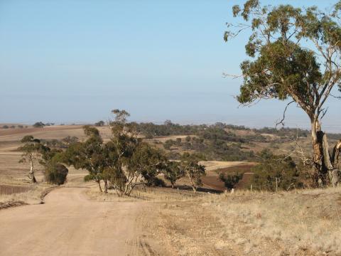 Collaby Hill