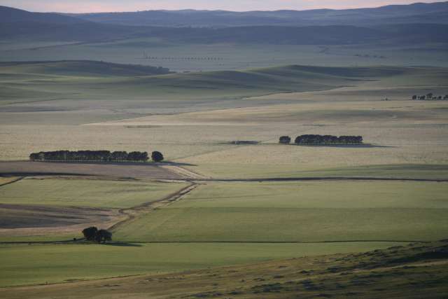 Looking east