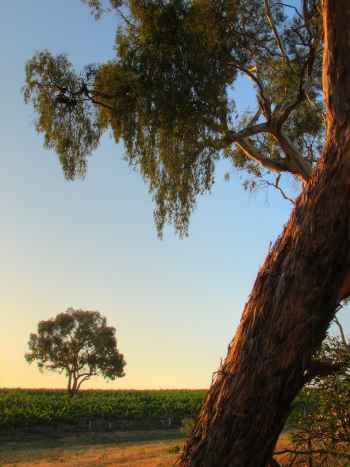 HDR photograph