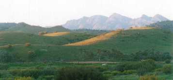 The Hills of Arkaba, Wilpena Range in the background,
Flinders Ranges, S. Australia