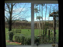 lounge window93.jpg (75514 bytes)