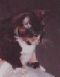 Puti, the mighty huntress!