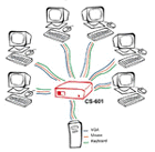 Share 2 Consoles With 1 CPU.