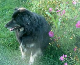 Happy at home, our Molly