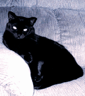 I am black and I am beautiful!
