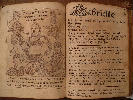 Gabrielle's Biography Page