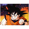 songoku3.jpg (3051 bytes)