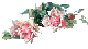 small peach rose