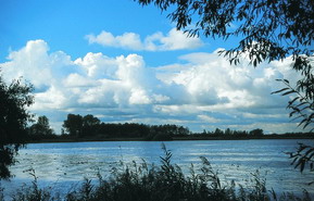 Naturpark Dmmer