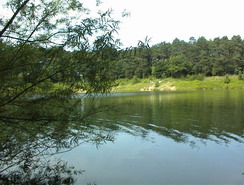 Tallesee