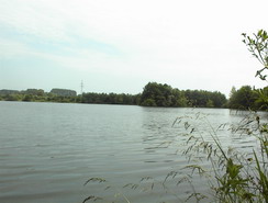 Tallesee