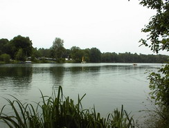 Waldsee