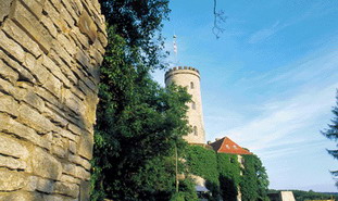 wandbiel