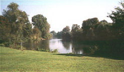 stauteich