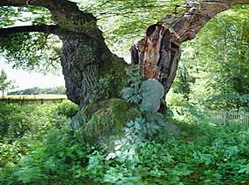 Naturpark Eggegebirge und sdlicher Teutoburger Wald