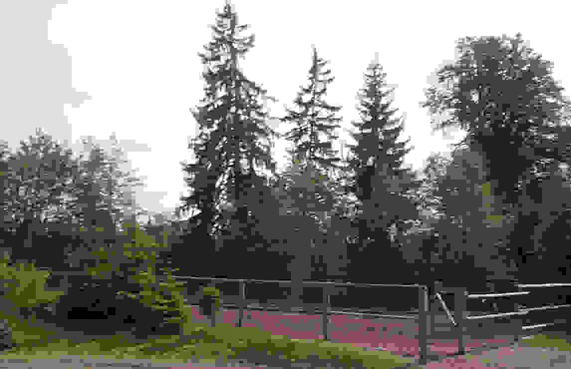 Reitplatz