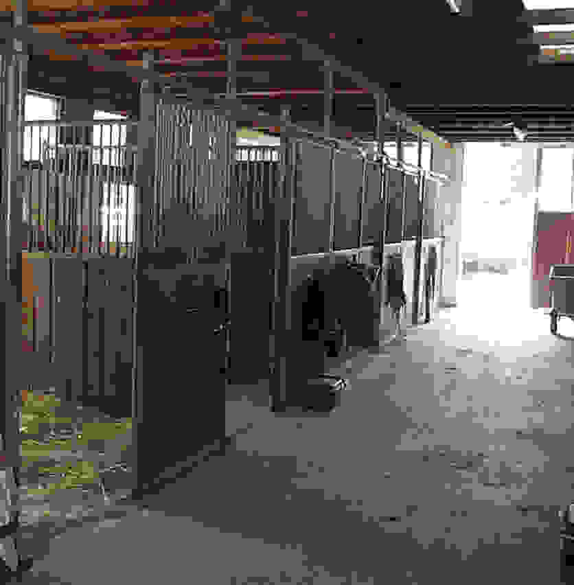 Stallgasse