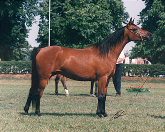 dorena.jpg (29264 Byte)