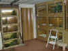 Terrarien 5.jpg (60973 Byte)