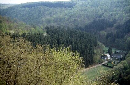 Auf dem Einrich