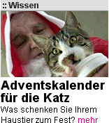Fundort t-online Startseite
