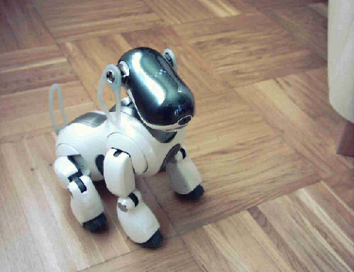 AIBO
