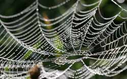 zur XING Startseite