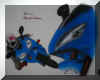 R1blue.jpg (34683 Byte)