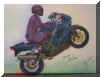 ZX9test.jpg (26188 Byte)