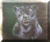 Panther.jpg (26413 Byte)