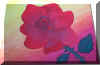 Rose.jpg (43912 Byte)