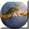 Turtle7.jpg (25955 Byte)