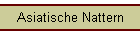 Asiatische Nattern