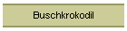 Buschkrokodil