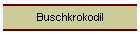 Buschkrokodil