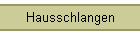 Hausschlangen