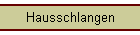 Hausschlangen