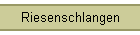 Riesenschlangen