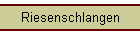 Riesenschlangen