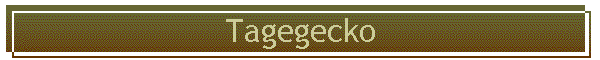 Tagegecko