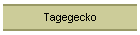 Tagegecko