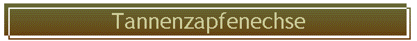 Tannenzapfenechse