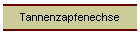 Tannenzapfenechse