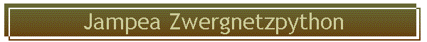 Jampea Zwergnetzpython