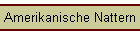 Amerikanische Nattern