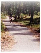 figcircuito.jpg (8400 bytes)